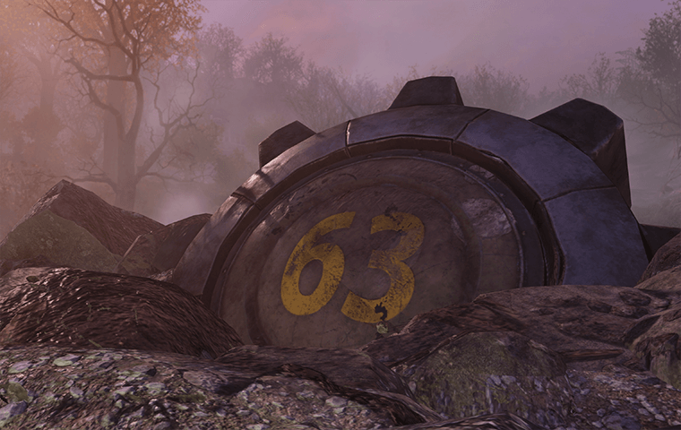 Vault 63